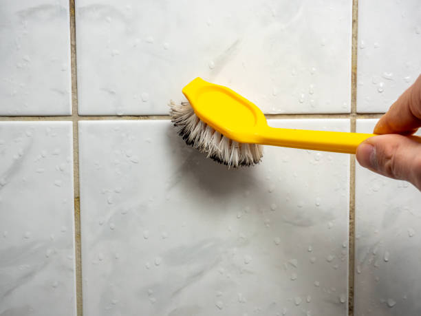 Best Mold Removal Near Me  in Temple City, CA