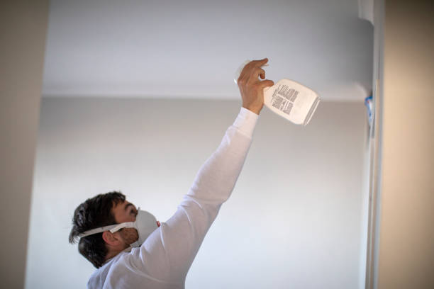 Best Attic Mold Removal  in Temple City, CA