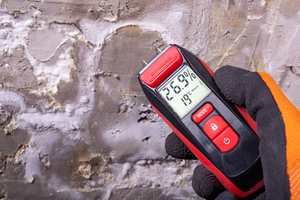 Best Best Mold Removal Companies  in Temple City, CA