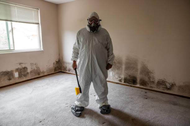 Crawl Space Mold Removal in Temple City, CA